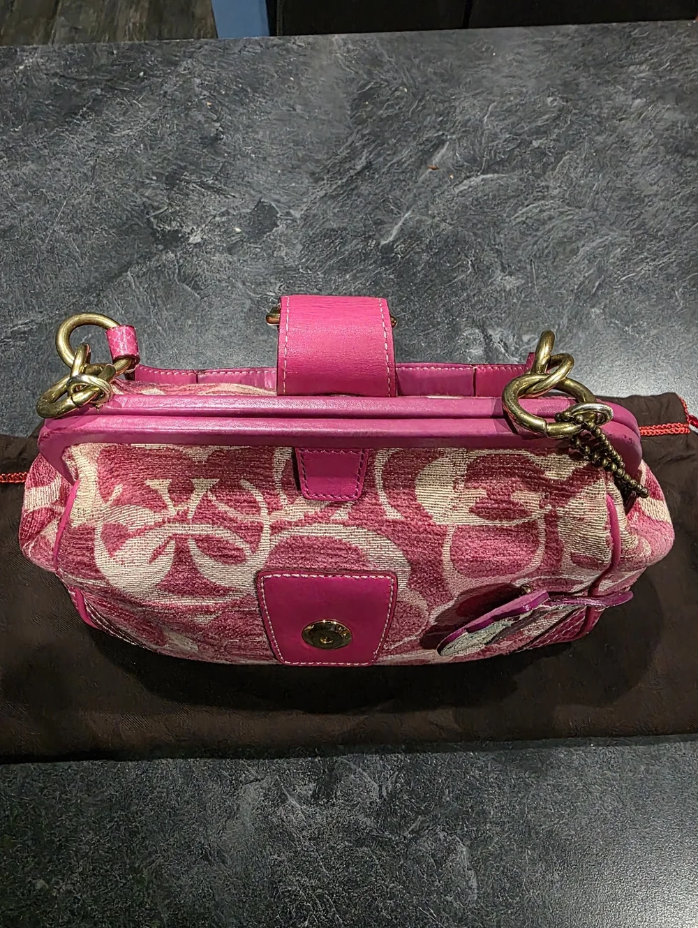 Vintage Coach Purse